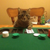 take a gamble logo