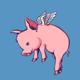 Flying pig logo