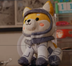 Asteroid Shiba logo