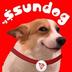 ssundog logo