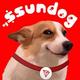 ssundog logo