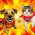 SunPaws logo