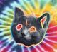 Real Tron Cat logo
