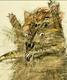 CAT ART logo