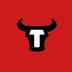 TOP BULL logo