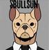 Bull Sun logo