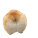 money logo