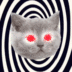 Dizzy Cat logo