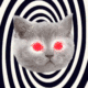 Dizzy Cat logo