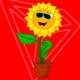 SUNFLOWER logo