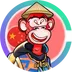 APESEI logo