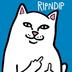 RIPNDIP logo