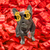 Bully logo