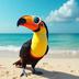 SunToucan logo