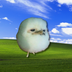 the chubby chub logo