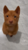 REDDOG logo