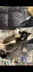 SECOND DOG BOUGHT WITH $DOGE logo