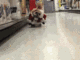 Santa Dog logo