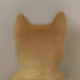 Blind Doge logo