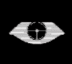 LINK ROT logo