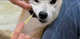 KABOSO logo