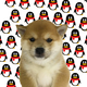 QQ DOG logo