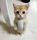 MEOW MEOW logo