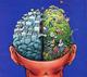 No bundles Your brain is bundled logo