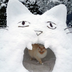 Snowcat logo