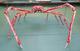 Crabzilla Japanese Spider Crab logo