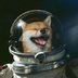 Dog In Space logo