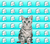 Bigocat 微猫 logo
