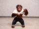 monkey.gif logo