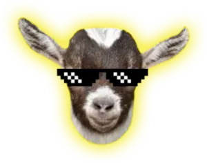 GOAT token