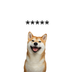 five star dog logo