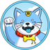 SKYCAT  logo