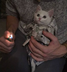 CrackCat logo