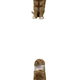 Long cat logo
