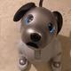 ROBO THE DOG logo