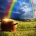 End of the Rainbow logo