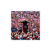 DonaldTrump logo