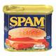 spam logo