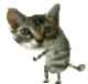 oh yeah cat logo