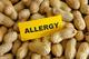 Peanut Allergy logo