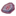 DFKSHVAS
