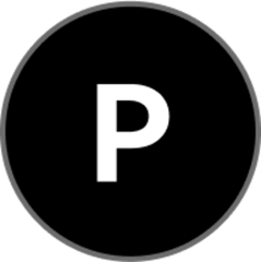 PandaSwapLPToken logo