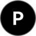 PT-slvlUSD-29MAY2025 logo