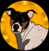 Spike-Dog logo