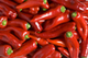pepper logo