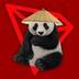 pandawifdouli logo